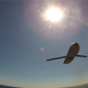 Image for article titled The Navy's Smart New Stealth Anti-Ship Missile Can Plan Its Own Attack